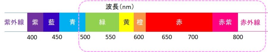 波長域　iplフォト　図解